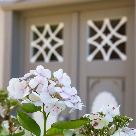 Strandhaus Luv * Wustrow (Fischland)